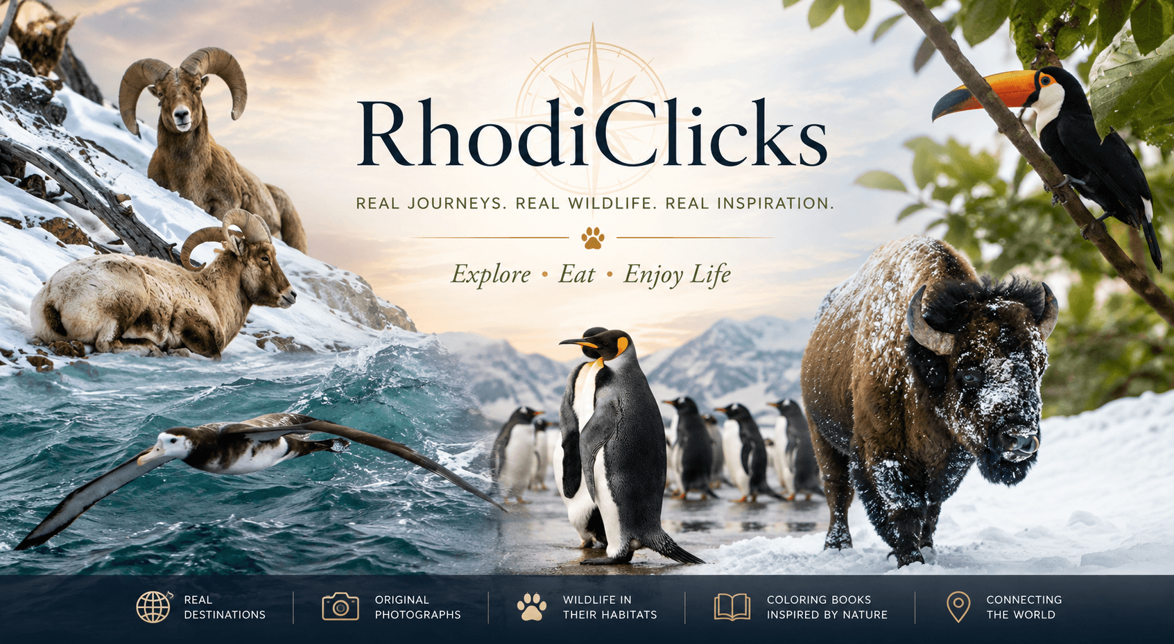 RhodiClicks banner showing wildlife, destinations, photography, and coloring book inspiration.