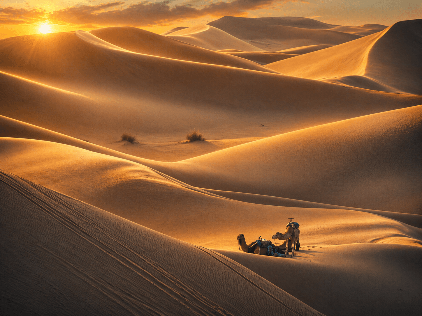 Sunset color over the Sahara desert dunes in Morocco.
