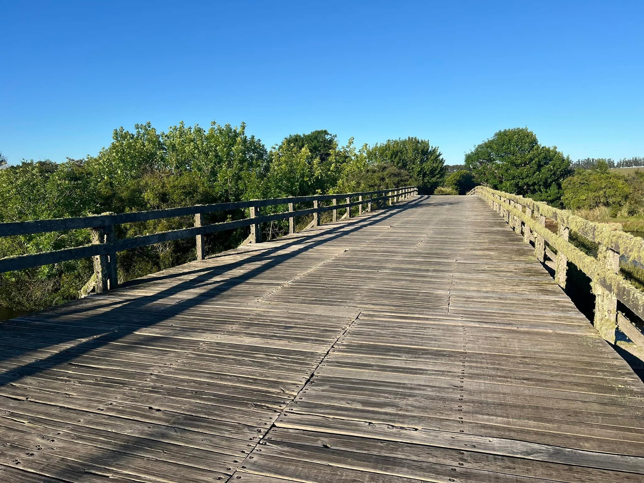 A moss-covered wooden bridge leading toward Estancia Vik Jose Ignacio in Uruguay.